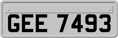 GEE7493