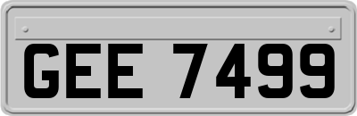 GEE7499