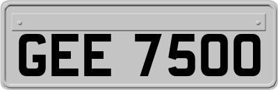 GEE7500