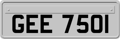 GEE7501