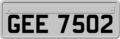 GEE7502