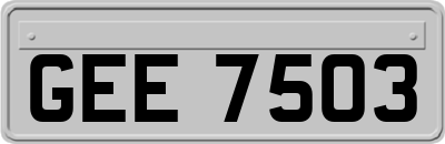 GEE7503