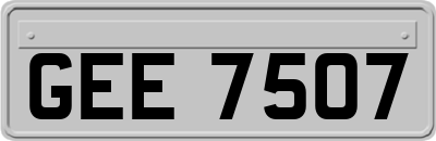 GEE7507