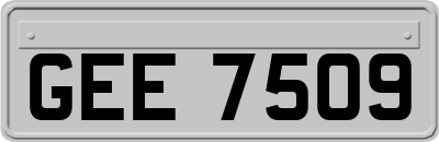 GEE7509