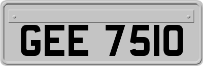 GEE7510