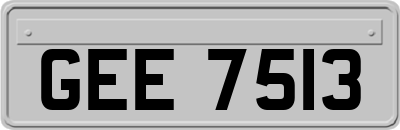 GEE7513