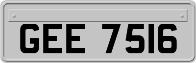 GEE7516