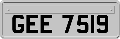 GEE7519