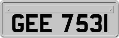 GEE7531