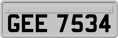 GEE7534