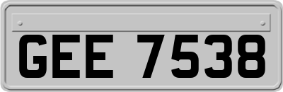 GEE7538