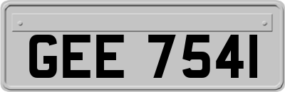 GEE7541