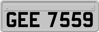 GEE7559