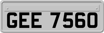 GEE7560