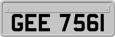 GEE7561
