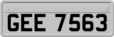 GEE7563