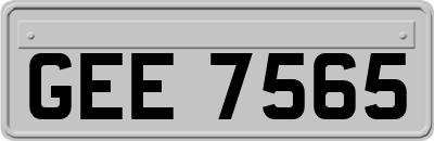 GEE7565
