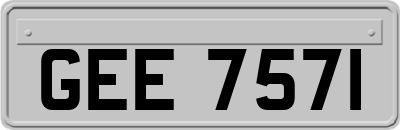 GEE7571
