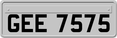 GEE7575