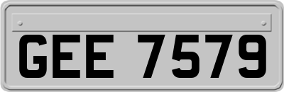 GEE7579