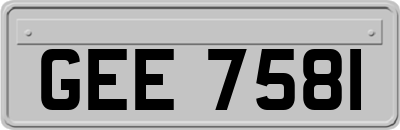 GEE7581