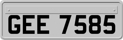 GEE7585