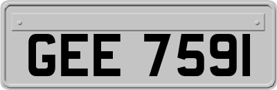 GEE7591