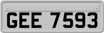 GEE7593