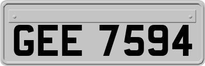 GEE7594