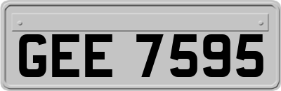 GEE7595