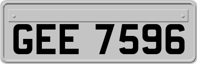 GEE7596