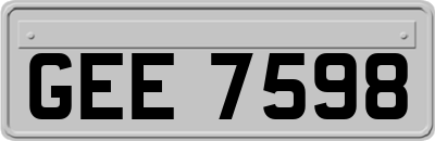 GEE7598