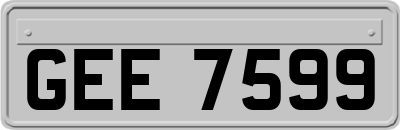 GEE7599