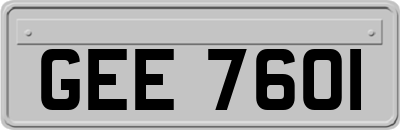GEE7601
