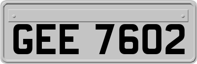 GEE7602