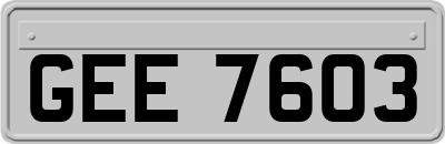 GEE7603