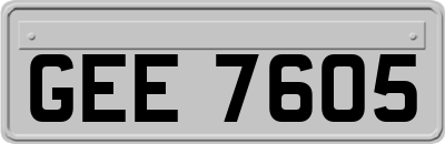GEE7605