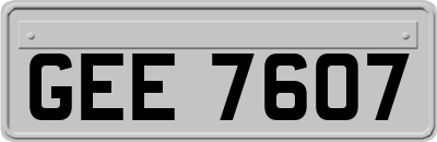GEE7607