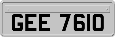 GEE7610