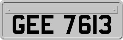 GEE7613