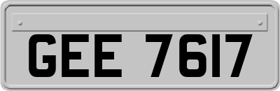 GEE7617