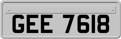 GEE7618