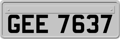 GEE7637