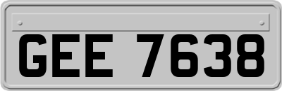 GEE7638