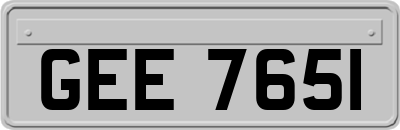 GEE7651