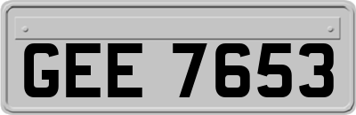 GEE7653
