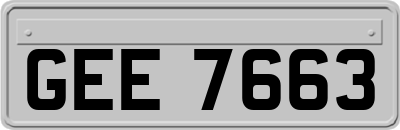 GEE7663