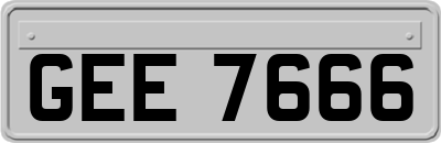 GEE7666