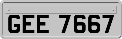 GEE7667