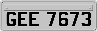 GEE7673